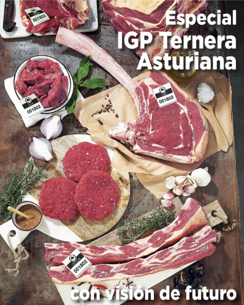 IGP Ternera Asturiana - Vacuno Mayor Asturiano