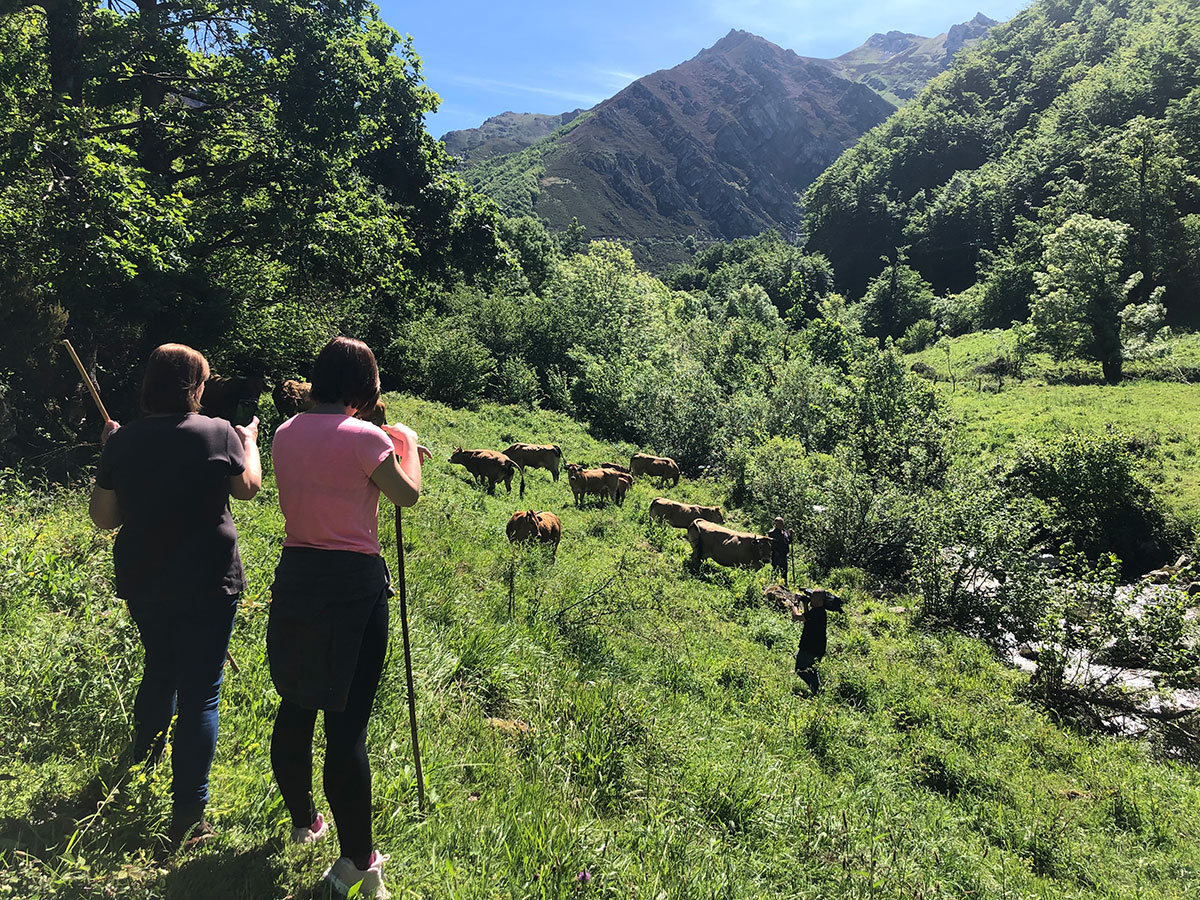 Ternera Asturiana, en clave femenina