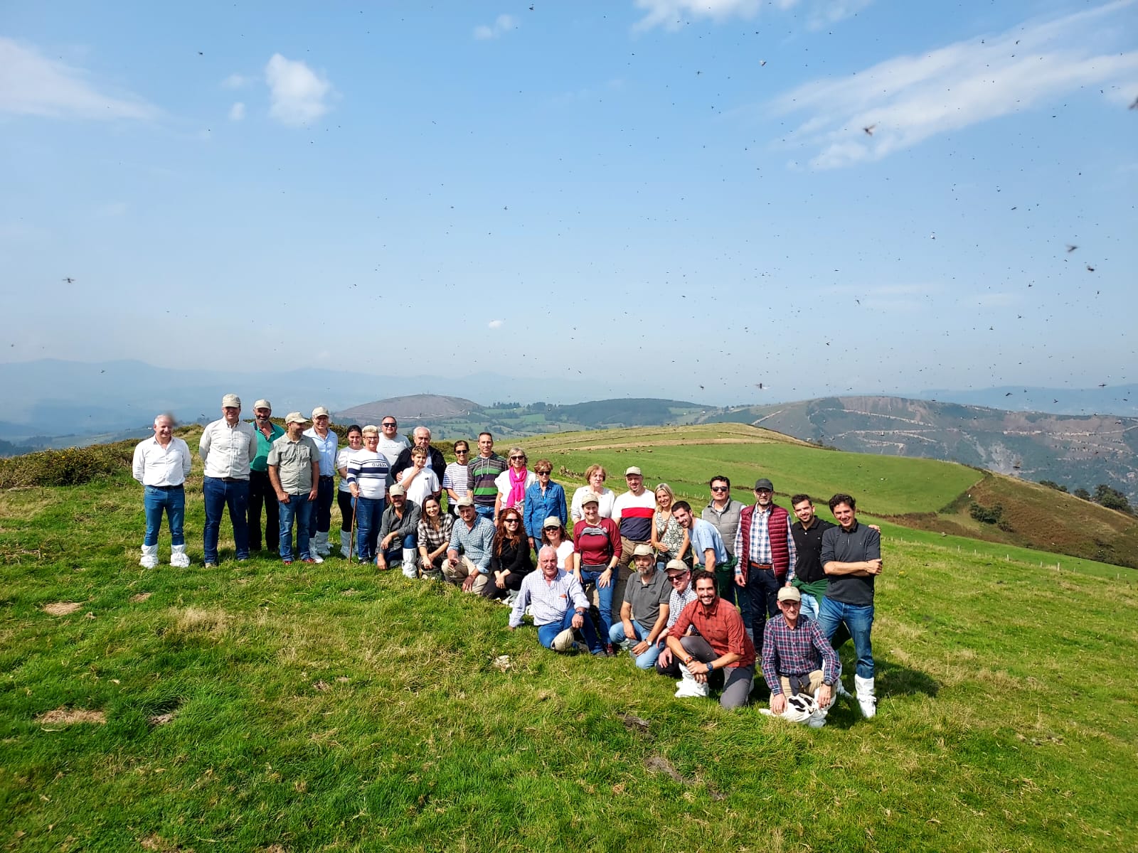 El proyecto RENGRATI de REDES TECO del Ministerio centra sus jornadas en la producción de Ternera Asturiana