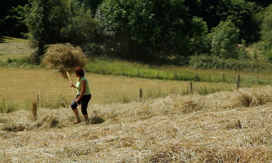 Ternera Asturiana, en clave femenina