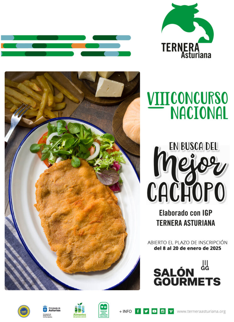 VIII CONCURSO CACHOPO